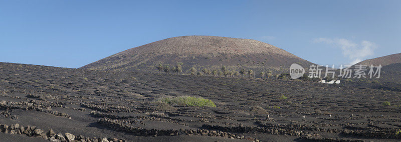 La Geria火山葡萄酒谷